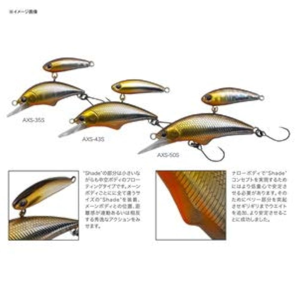 Amazon.co.jp: パームス アレキサンドラ シェード 35S